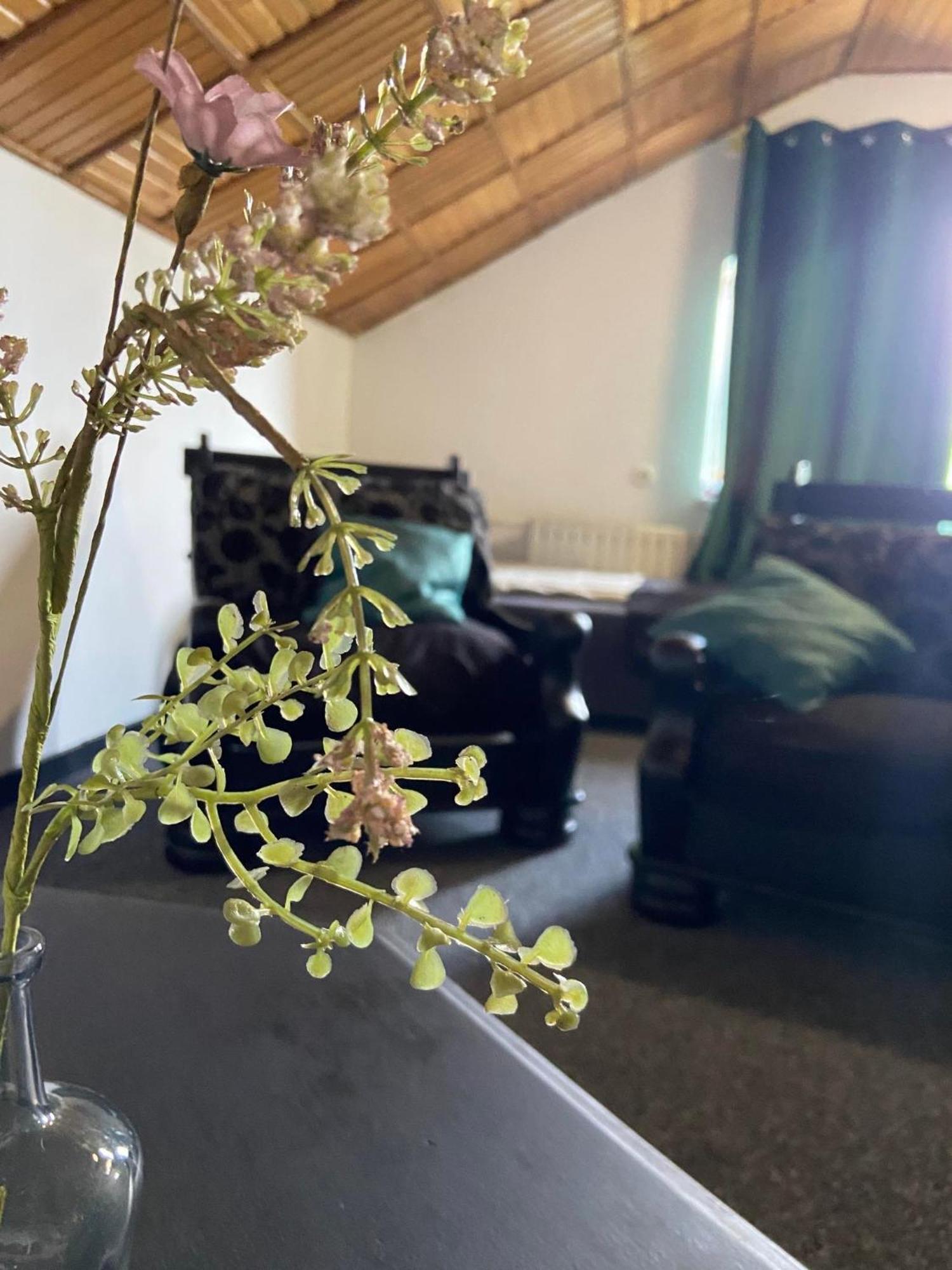 Farm stay Pokoje Krosno Krosno